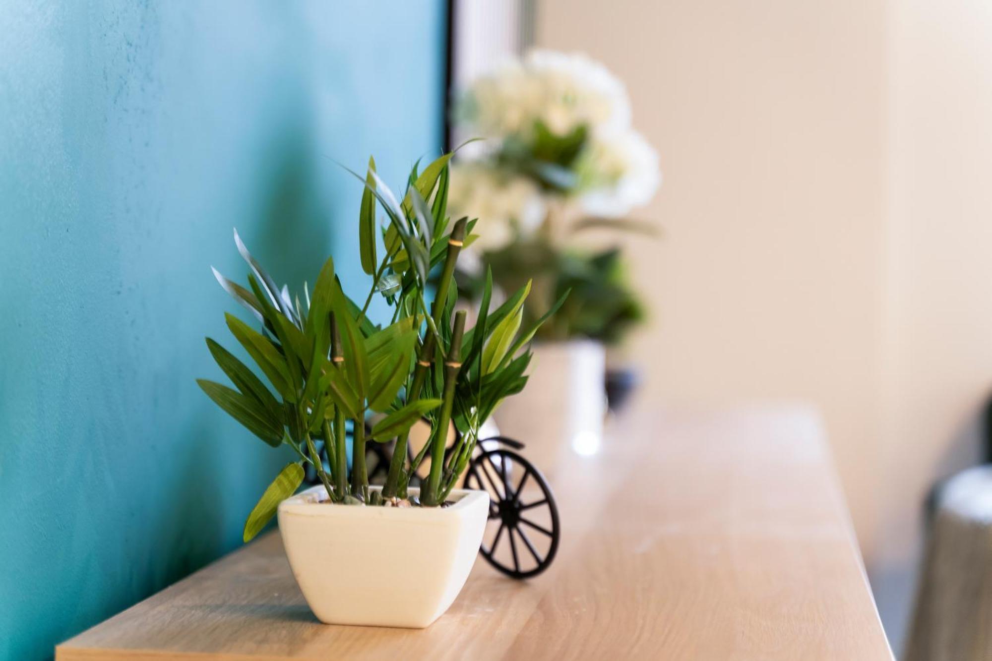 Evergreen Haven - Central 2Br - Free Parking W High Speed Wifi Birmingham Buitenkant foto